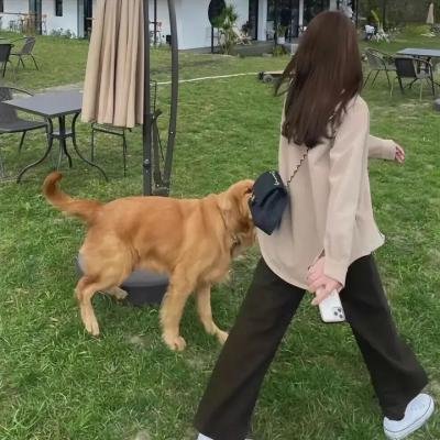 风云第二部